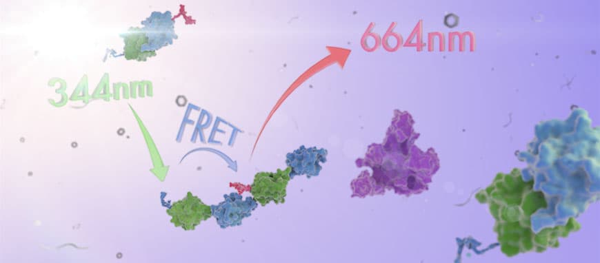 Precision Tools for Protein Science